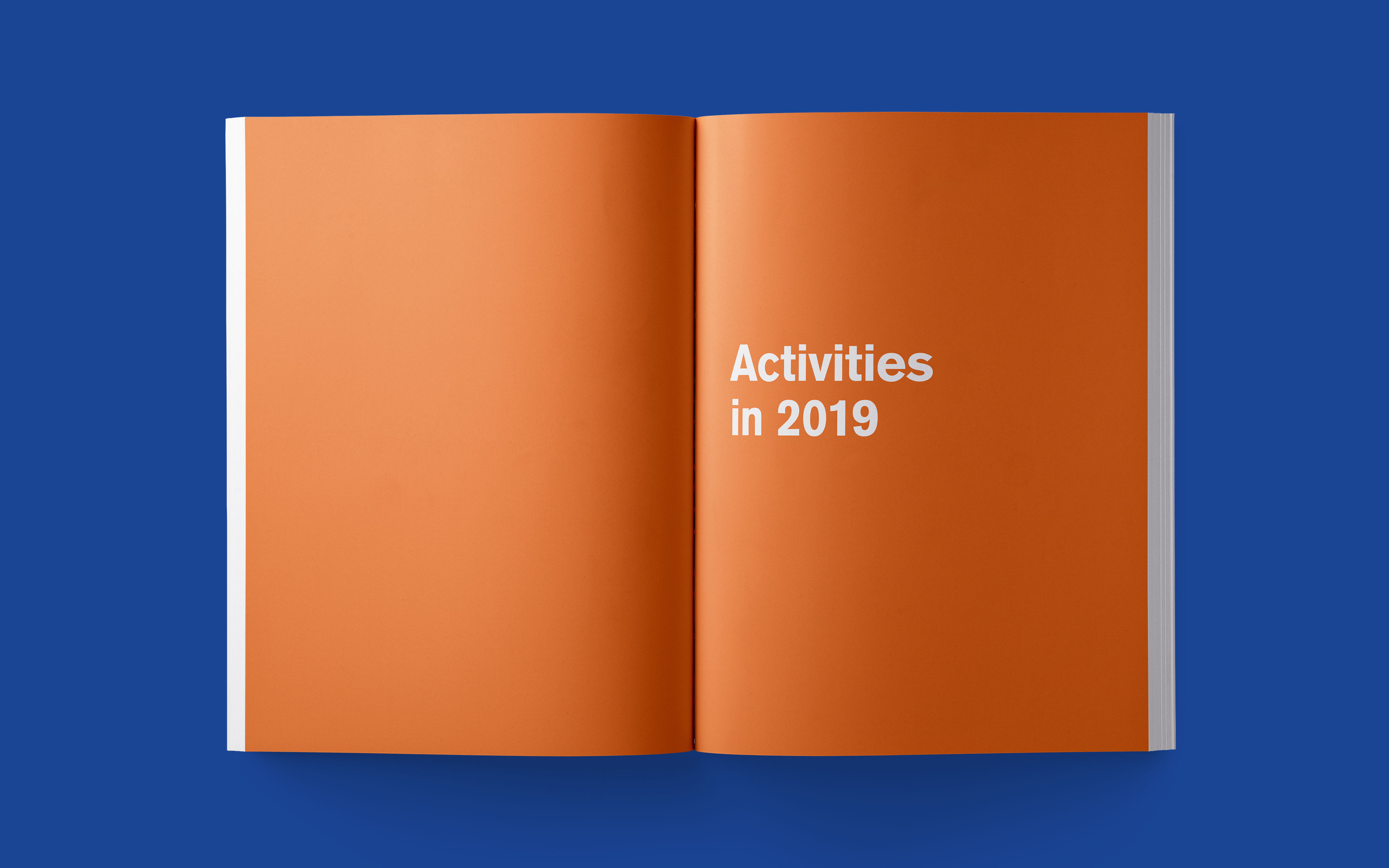 Halkbank Annual Report 2019